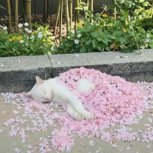 ❀