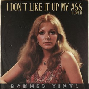 I Don't Like It up My Ass, I Love It