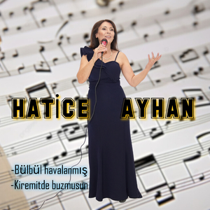Kiremitde Buzmusun