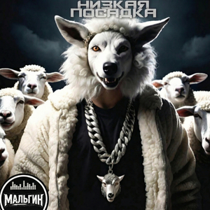 Низкая посадка