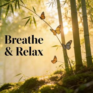 Breath Unbound｜呼吸自在