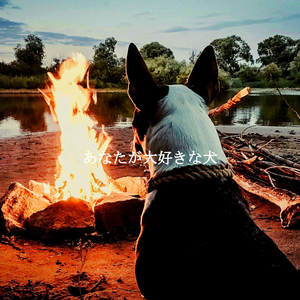 Ambience (Co-Working Spaces)