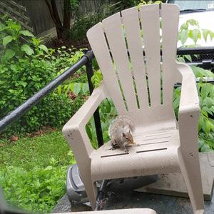 Digital Type, Nobodies Time