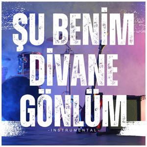 Şu Benim Divane Gönlüm ((enstrümantal ilahi))