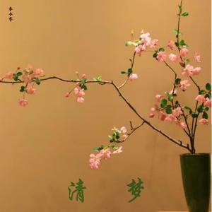 云深处 (Deep In The Clouds)