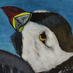 Puffin