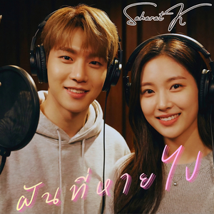 ฝันที่หายไป