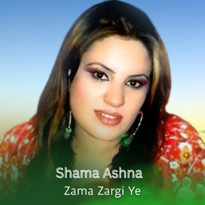 Zama Zargi Ye