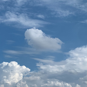 你就像风一样~1