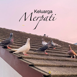 Keluarga Merpati