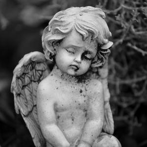 Stone Angel