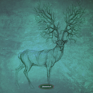 Specular Reflections