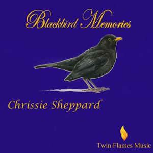 Blackbird Memories