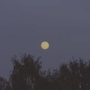 女儿国（翻自 李荣浩）