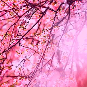 精彩城市共鸣环境