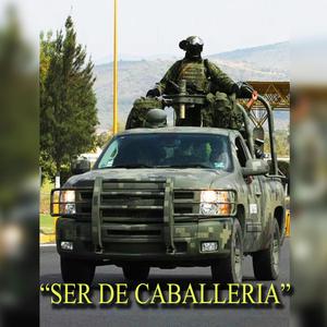 Ser de Caballeria
