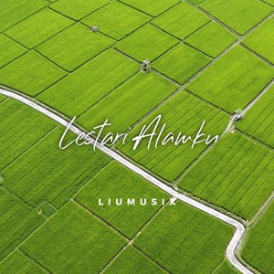 Lestari Alamku (Acoustic Fingerstyle)