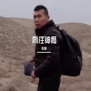 向往神鹰