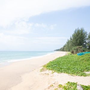 龙猫（舒缓放松纯音乐）