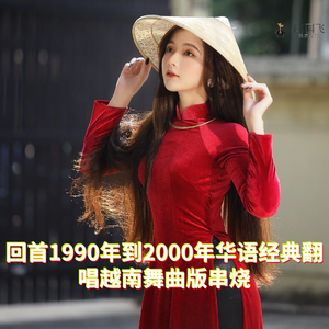 DJ国飞-回首1990年到2000年华语经典翻唱越南舞曲版串烧（DJ国飞 remix）