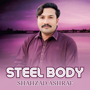 Steel Body