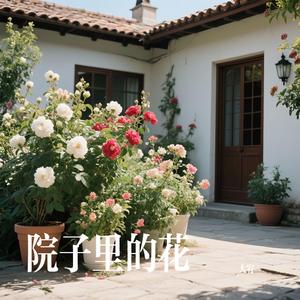 院子里的花