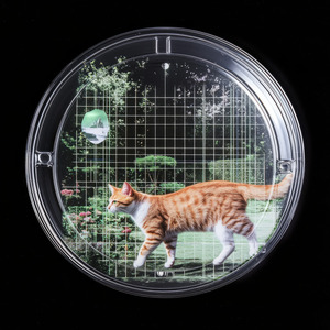 Whisker's Leap into the Great Outdoors