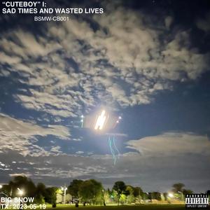 LYINCHEATINTWOTIMINWHORE