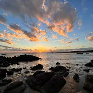 想写上你的名字