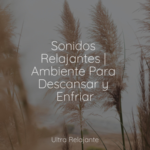Relájate En El Abismo