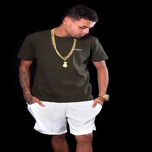 VOU FALAR PRO MORRO INTEIRO