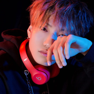 燕子 没有你我要怎么活