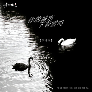 你的城市下着雪吗