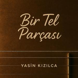 Bir Tel Parçası Ai