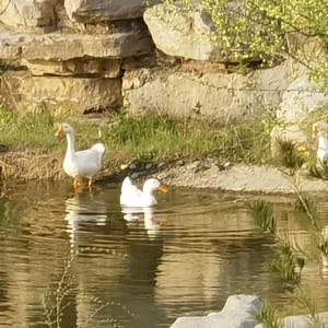 爱上夏天（Prod.by Lisure）