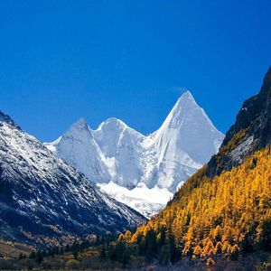 静待风月