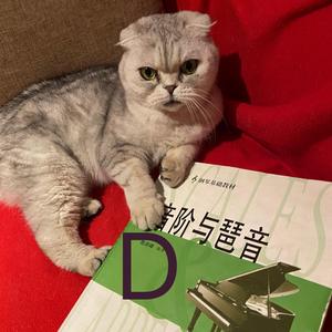 八度音阶 F大调