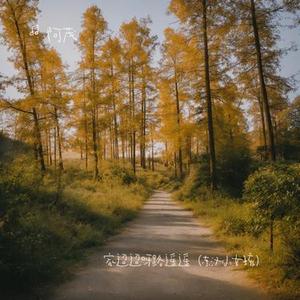 家迢迢呀路遥遥 (东汉小女孩)