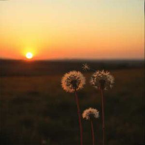 何必在回忆里刻舟求剑