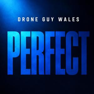 Perfect (EDM Version)
