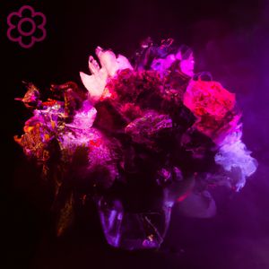 (Ich pflück' dir einen) Blumenstrauss (Victor Ente Remix)