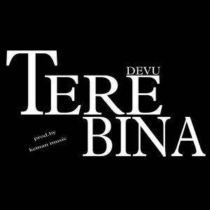 Tere bina