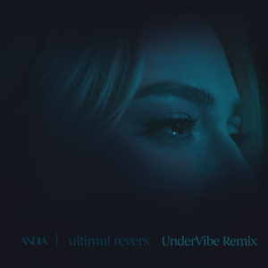 Ultimul Revers (UnderVibe Remix)