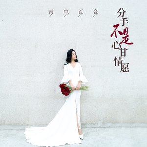 分手不是心甘情愿 (伴奏)