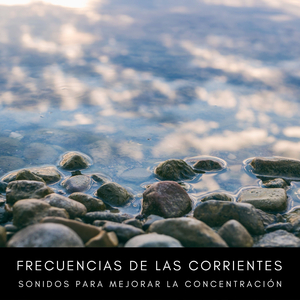 Aplicación De Arreglo