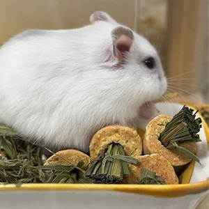 Is There Someone Else?（Sped up）