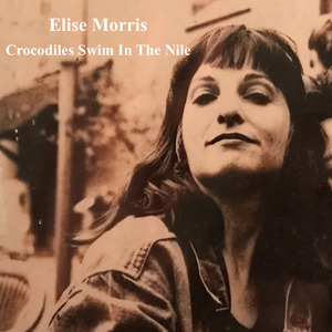 Crocodiles Swim in the Nile