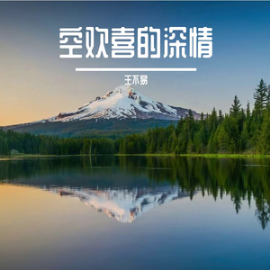 乘风追逐朝阳