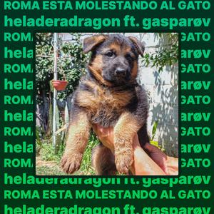 roma esta molestando al gato