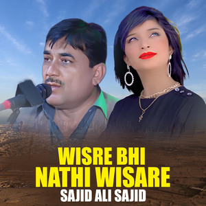 Wisre Bhi Nathi Wisare